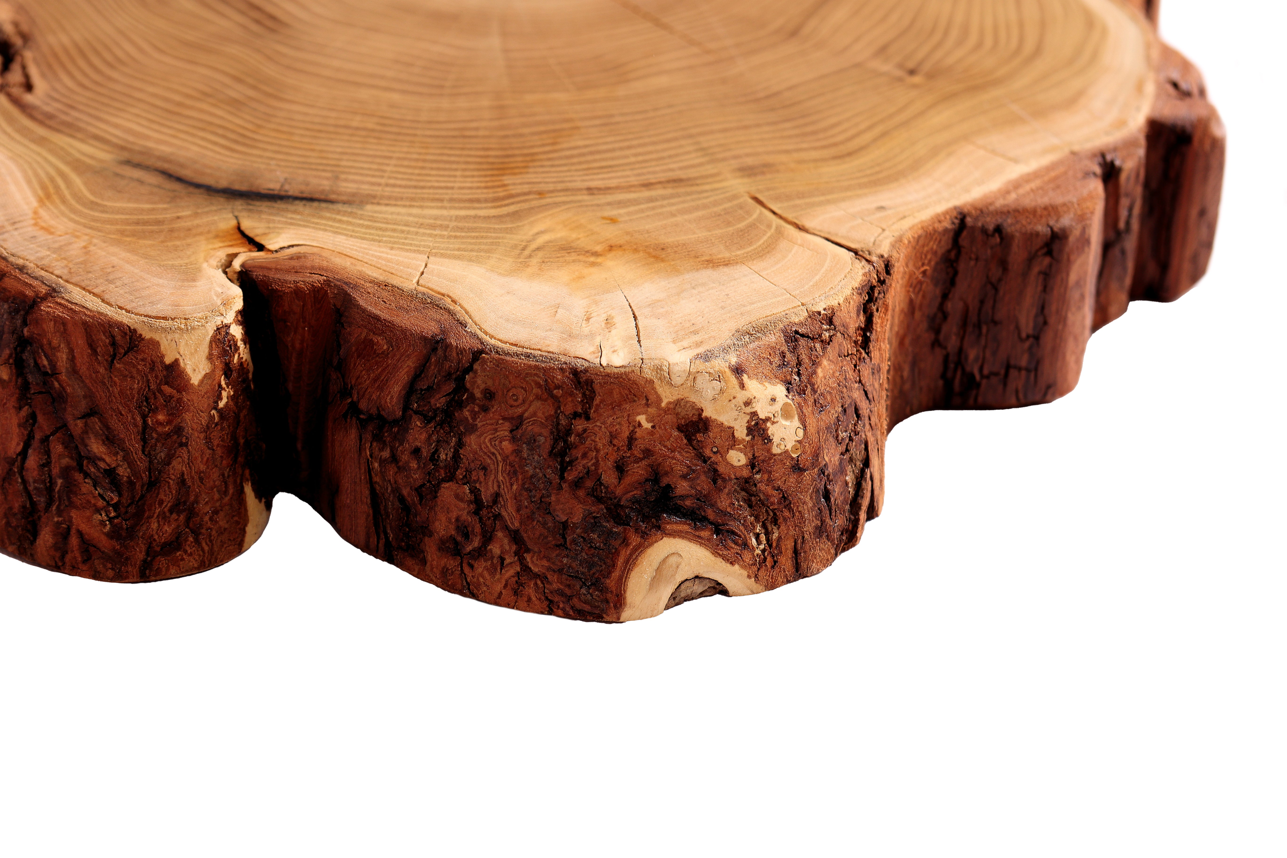 Couchtisch aus Akazienholz / Beistelltisch aus Massivholz / Baumscheibe / Baumstamm / Holzscheibe / Rundschnittholz- HolzRepublik