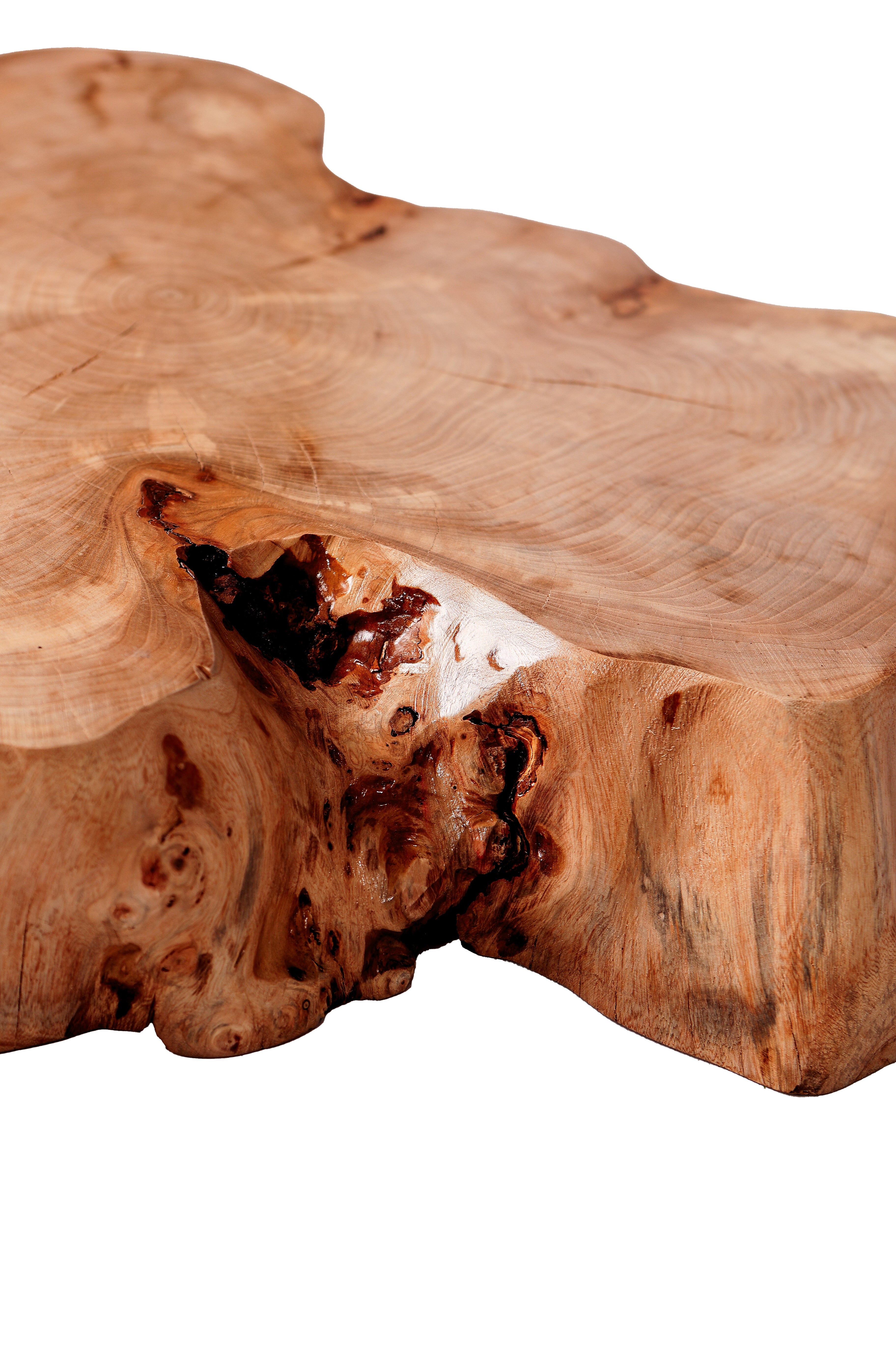 Couchtisch aus Ulmenholz / Beistelltisch aus Massivholz / Baumscheibe / Baumstamm / Holzscheibe / Rundschnittholz- HolzRepublik