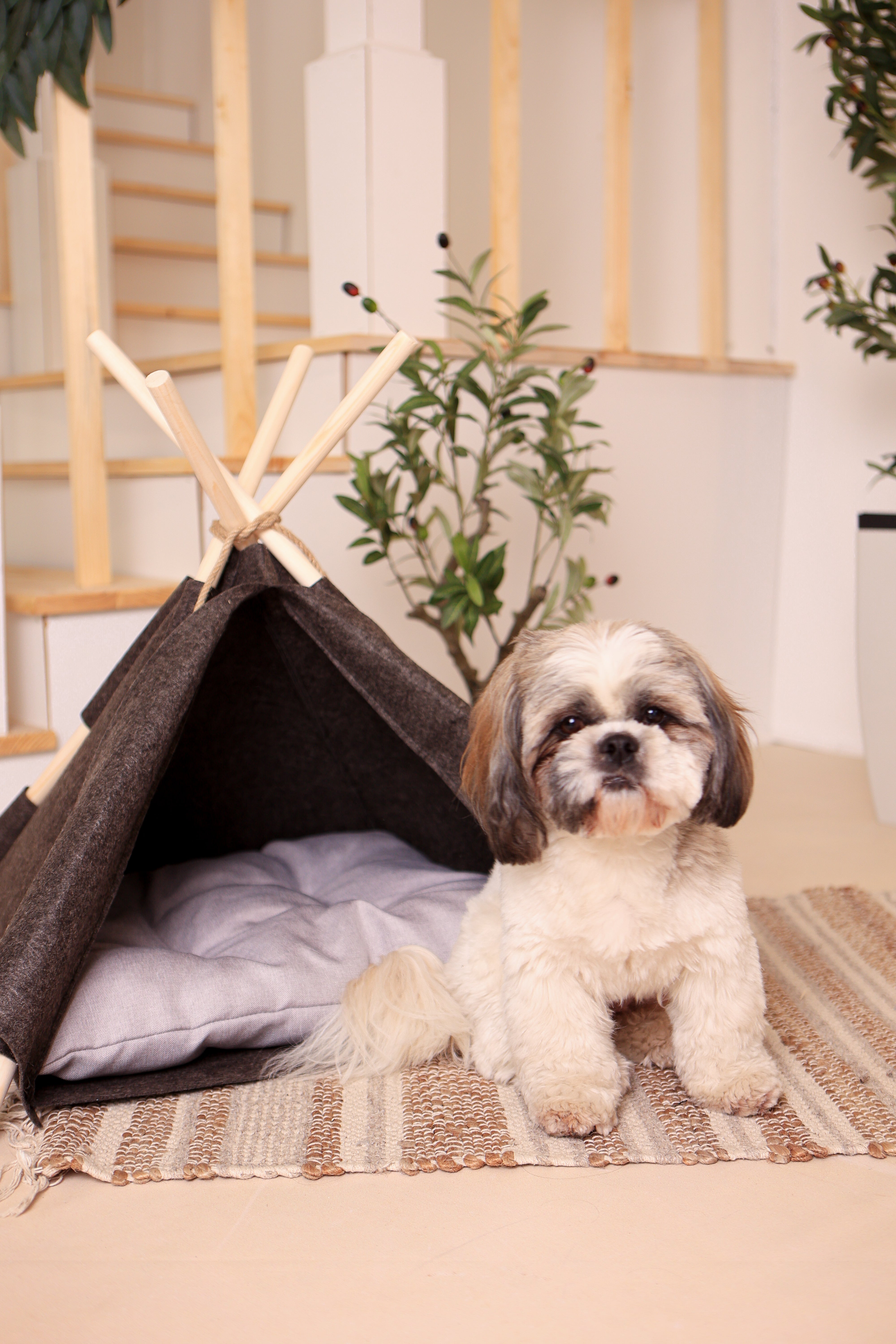 Wigwam für Hunde und Katzen / Hundezelt / Hundetipi & Katzentipi / Hundehöhle / Hundehütte / Tierzelt- HolzRepublik