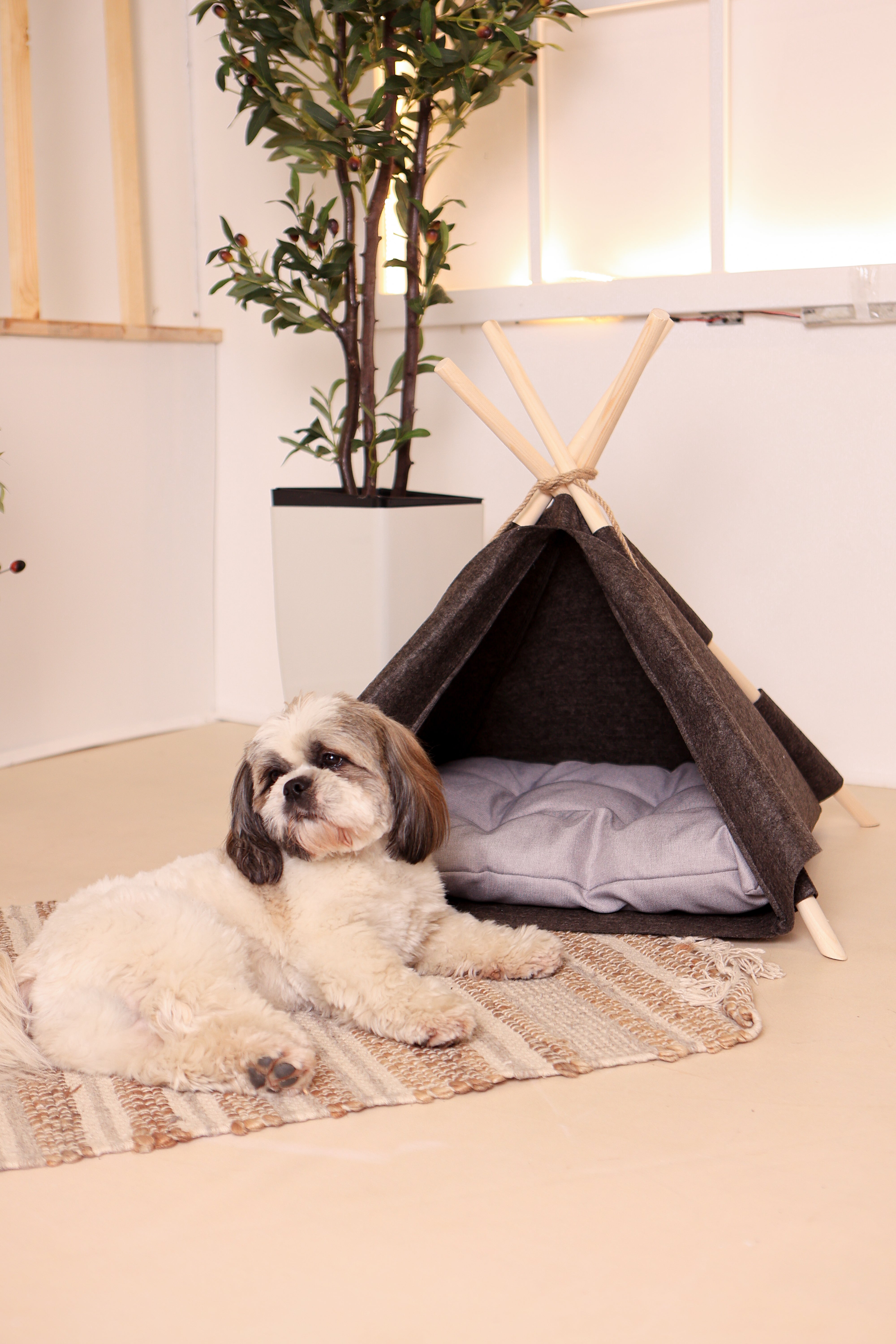 Wigwam für Hunde und Katzen / Hundezelt / Hundetipi & Katzentipi / Hundehöhle / Hundehütte / Tierzelt- HolzRepublik