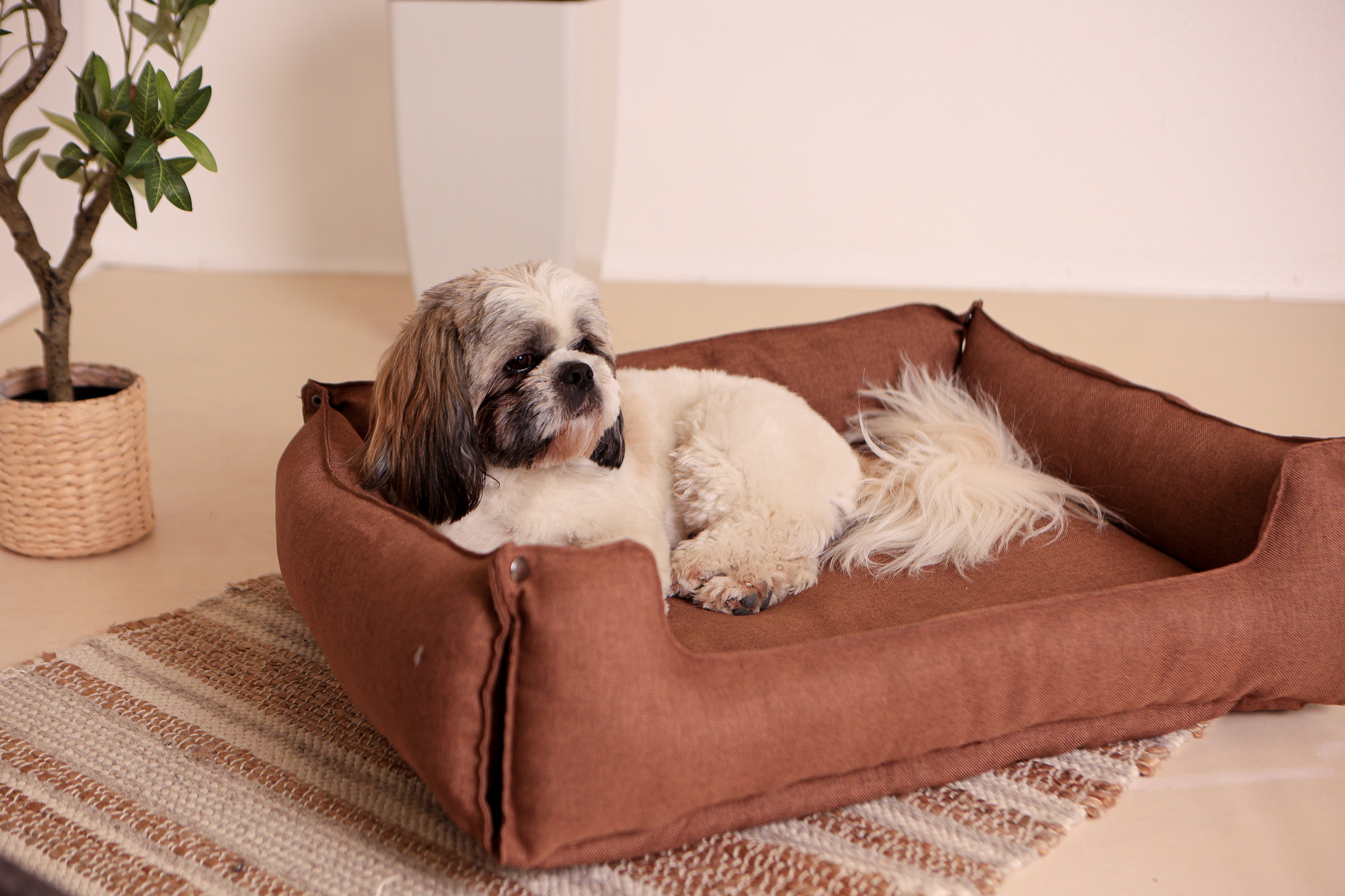 Hundebett & Hundekissen in einem - Braun /Einklappbare Hundeliege / Hunde-Schlafplatz maschinenwaschbar- HolzRepublik