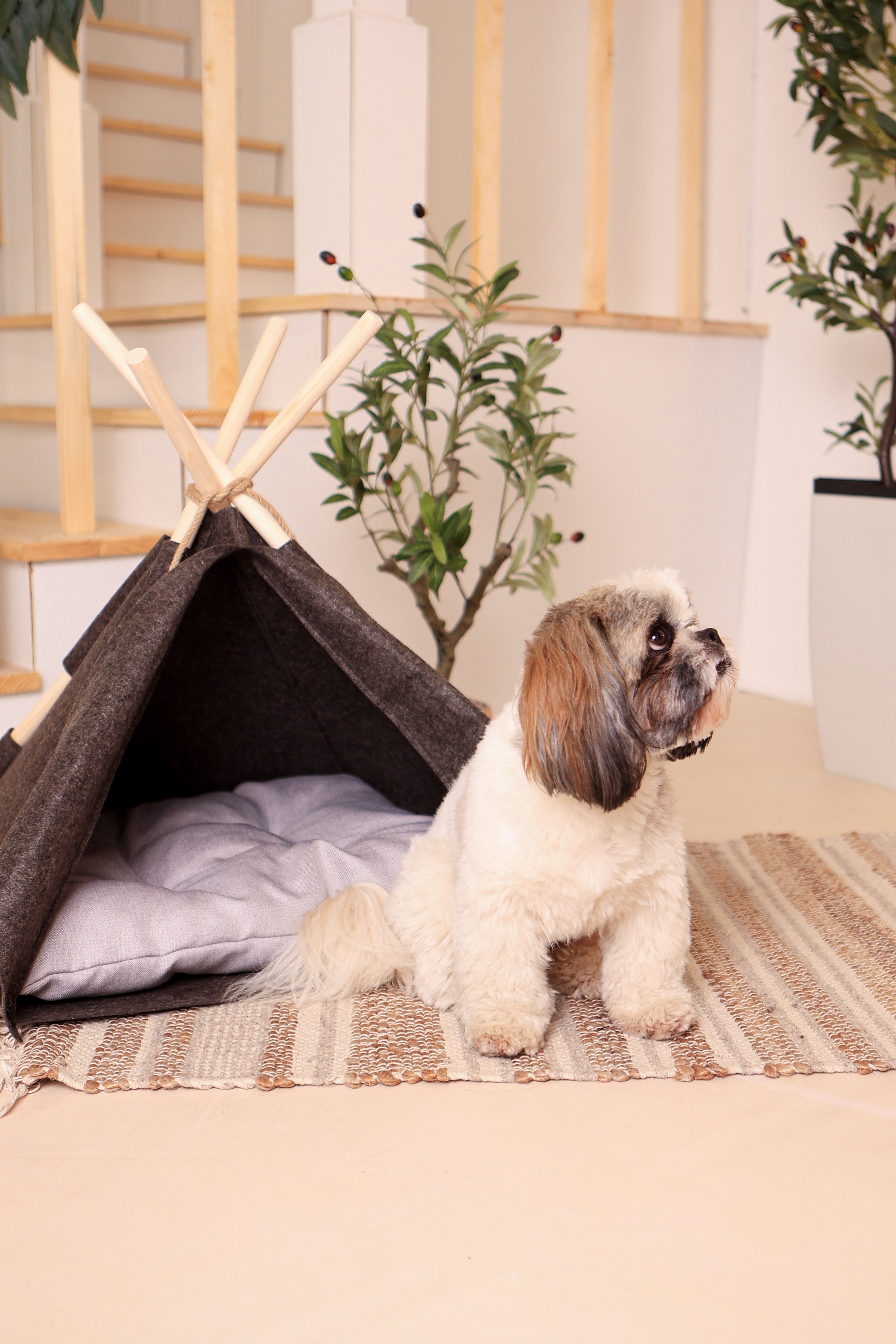 Wigwam für Hunde und Katzen / Hundezelt / Hundetipi & Katzentipi / Hundehöhle / Hundehütte / Tierzelt- HolzRepublik
