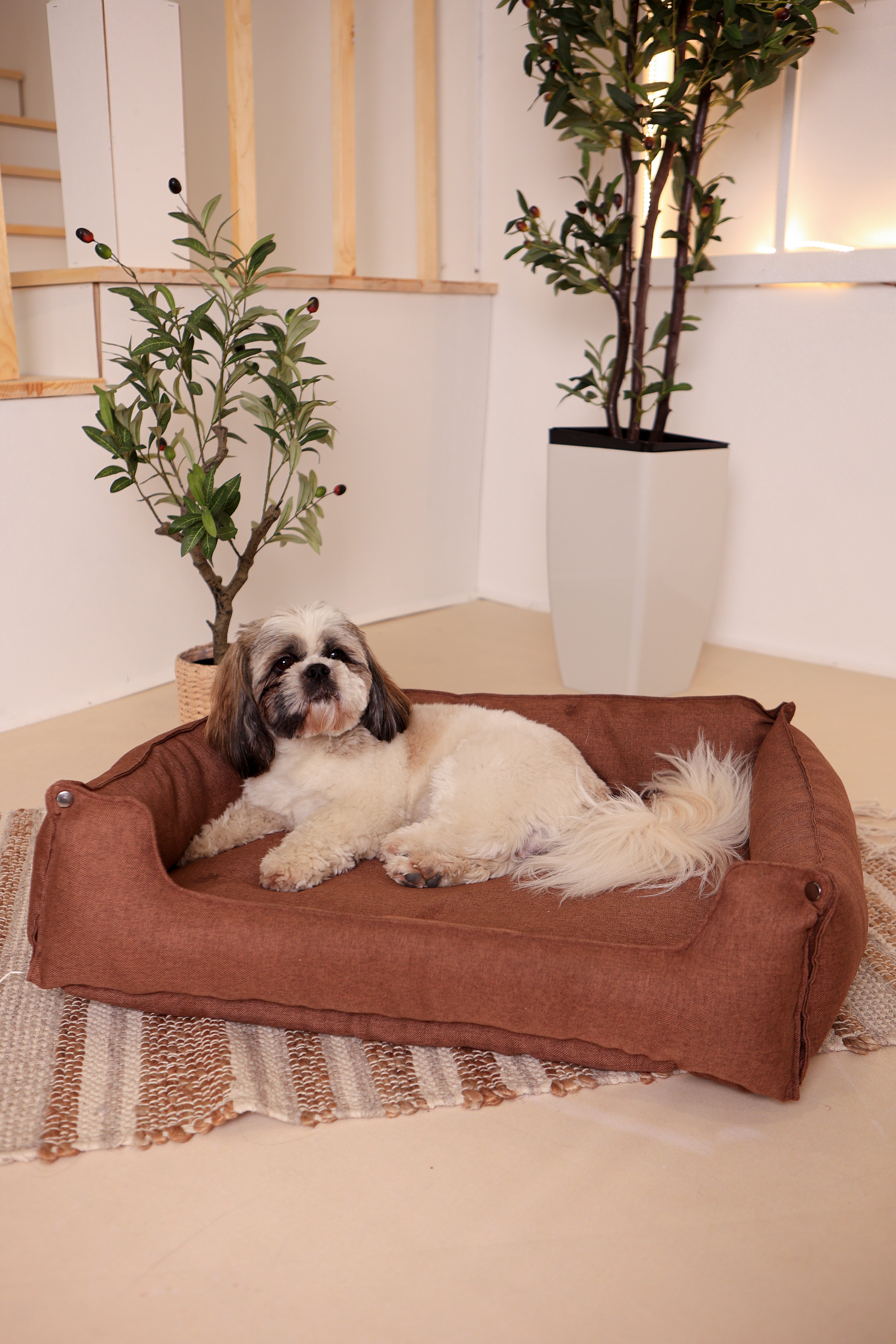    Hundebett &amp; Hundekissen in einem - Braun /Einklappbare Hundeliege / Hunde-Schlafplatz maschinenwaschbar- HolzRepublik