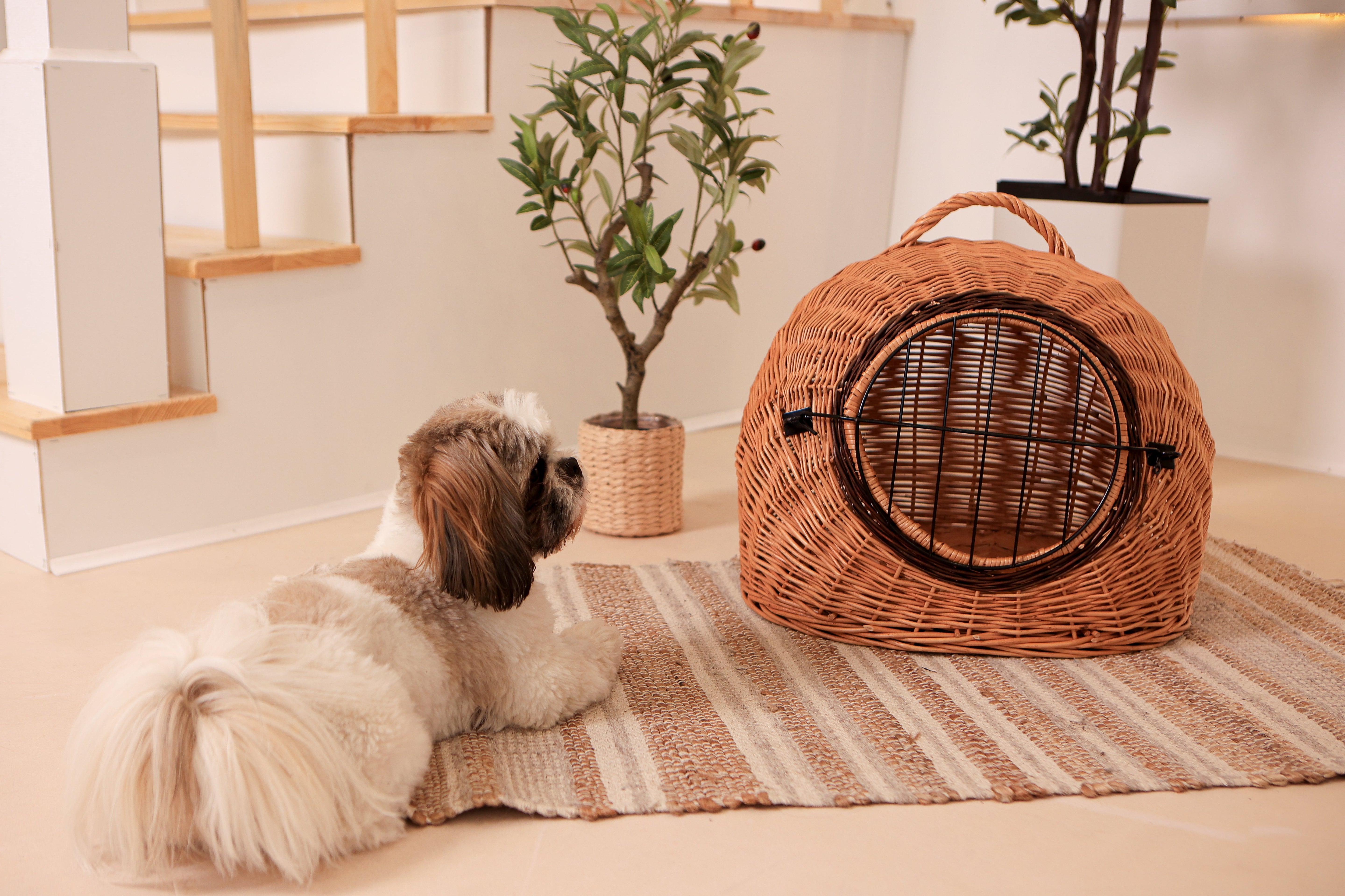    Weidenkorb-Tragetasche für Haustiere / Geflochtene Tiertragetasche / Transporttasche aus Rattan- HolzRepublik